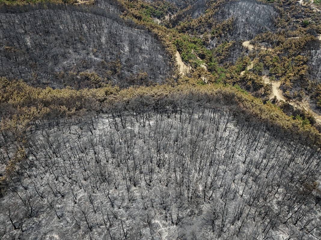 Kahreden manzara! Bornova'da yanan ormanlar dronla görüntülendi 16